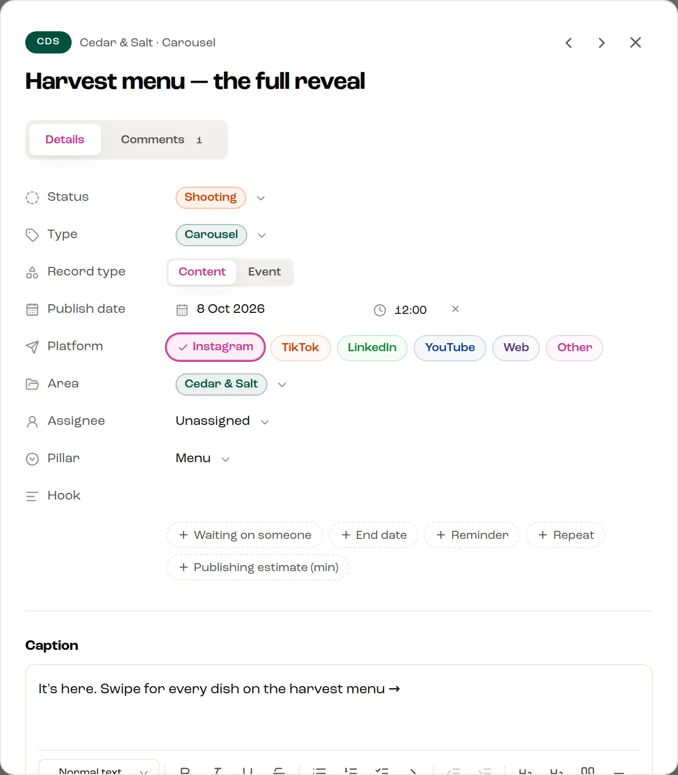 A post's window: status, type, publish date and time, platforms, area and pillar, with the caption under them.